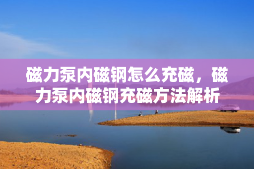 磁力泵内磁钢怎么充磁，磁力泵内磁钢充磁方法解析