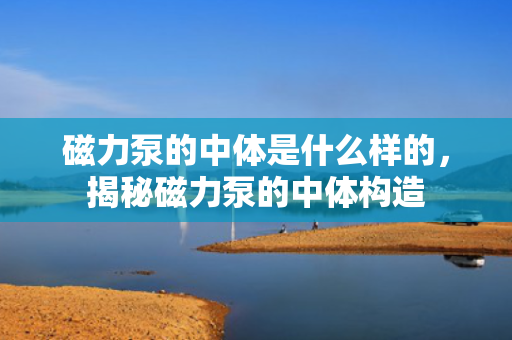 磁力泵的中体是什么样的，揭秘磁力泵的中体构造