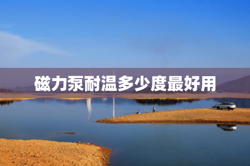 磁力泵耐温多少度最好用