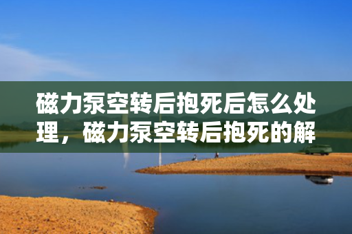 磁力泵空转后抱死后怎么处理，磁力泵空转后抱死的解决方案