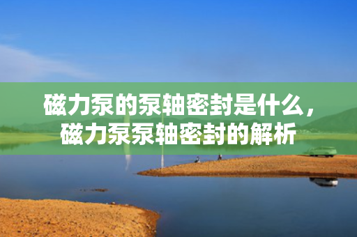 磁力泵的泵轴密封是什么，磁力泵泵轴密封的解析