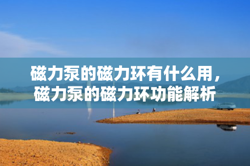 磁力泵的磁力环有什么用，磁力泵的磁力环功能解析