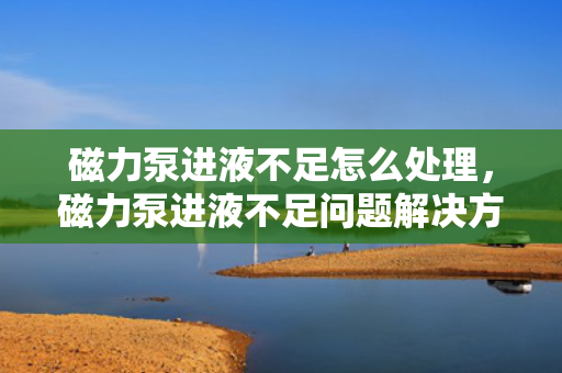 磁力泵进液不足怎么处理，磁力泵进液不足问题解决方案