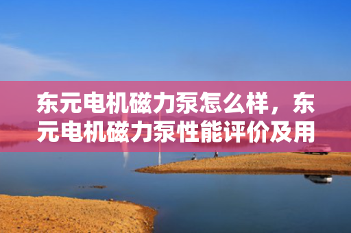 东元电机磁力泵怎么样，东元电机磁力泵性能评价及用户反馈