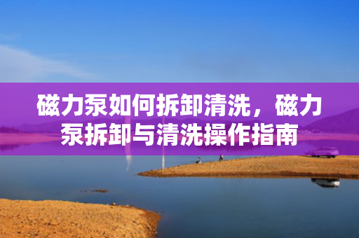 磁力泵如何拆卸清洗，磁力泵拆卸与清洗操作指南