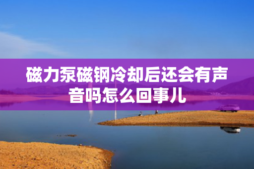 磁力泵磁钢冷却后还会有声音吗怎么回事儿