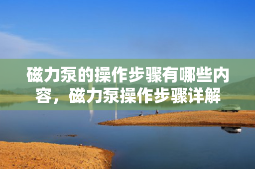 磁力泵的操作步骤有哪些内容，磁力泵操作步骤详解