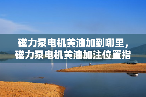 磁力泵电机黄油加到哪里，磁力泵电机黄油加注位置指南