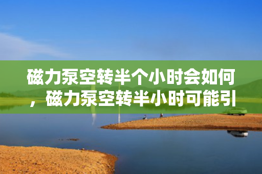 磁力泵空转半个小时会如何，磁力泵空转半小时可能引发的后果