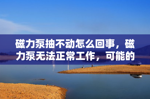 磁力泵抽不动怎么回事，磁力泵无法正常工作，可能的原因及解决方案