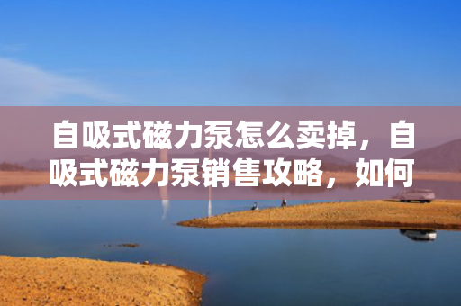 自吸式磁力泵怎么卖掉，自吸式磁力泵销售攻略，如何成功出售您的泵设备