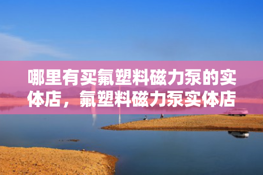 哪里有买氟塑料磁力泵的实体店，氟塑料磁力泵实体店购买指南