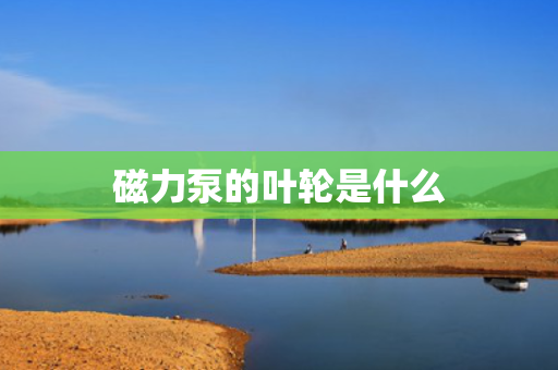 磁力泵的叶轮是什么