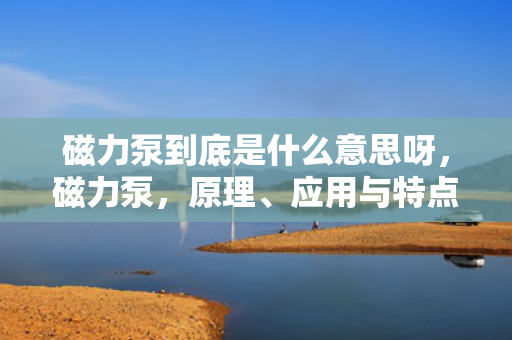 磁力泵到底是什么意思呀，磁力泵，原理、应用与特点解析