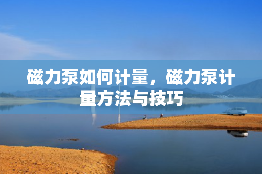 磁力泵如何计量，磁力泵计量方法与技巧