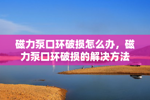 磁力泵口环破损怎么办，磁力泵口环破损的解决方法