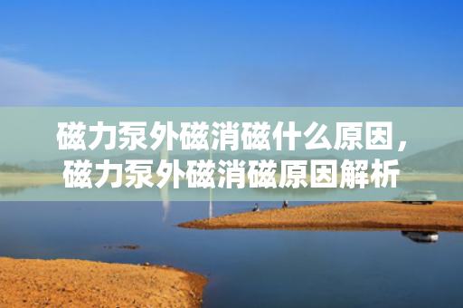 磁力泵外磁消磁什么原因，磁力泵外磁消磁原因解析