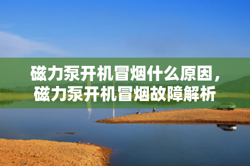 磁力泵开机冒烟什么原因，磁力泵开机冒烟故障解析