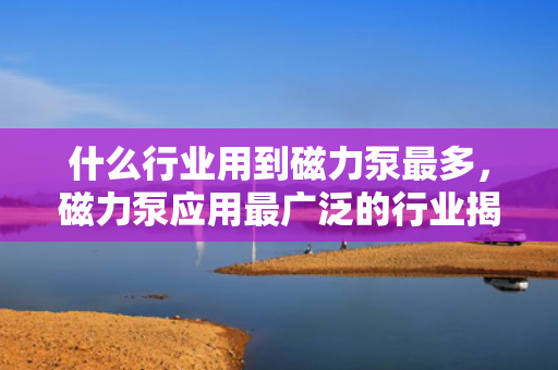 什么行业用到磁力泵***多，磁力泵应用***广泛的行业揭秘