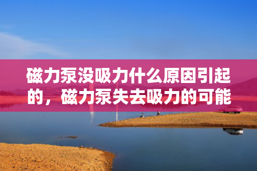 磁力泵没吸力什么原因引起的，磁力泵失去吸力的可能原因解析