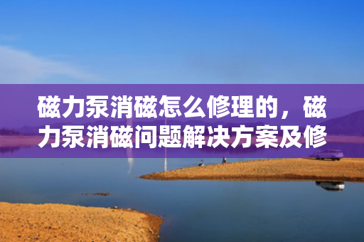 磁力泵消磁怎么修理的，磁力泵消磁问题解决方案及修理指南
