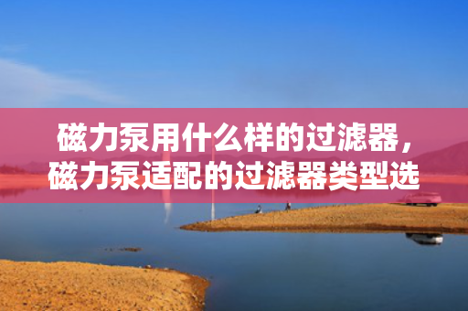 磁力泵用什么样的过滤器，磁力泵适配的过滤器类型选择