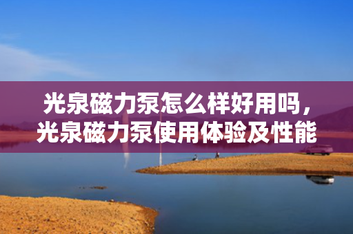 光泉磁力泵怎么样好用吗，光泉磁力泵使用体验及性能评测，是否值得购买？