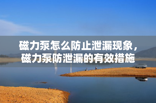 磁力泵怎么防止泄漏现象，磁力泵防泄漏的有效措施