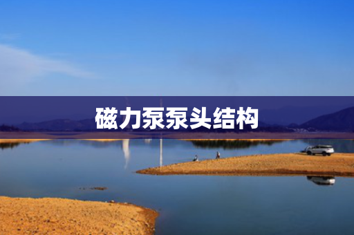 磁力泵泵头结构