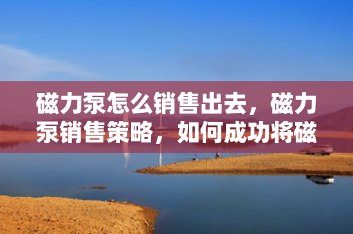磁力泵怎么销售出去，磁力泵销售策略，如何成功将磁力泵销售出去