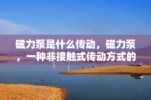 磁力泵是什么传动，磁力泵，一种非接触式传动方式的详解