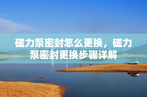 磁力泵密封怎么更换，磁力泵密封更换步骤详解