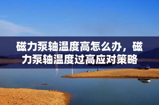 磁力泵轴温度高怎么办，磁力泵轴温度过高应对策略