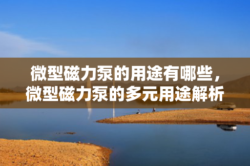 微型磁力泵的用途有哪些，微型磁力泵的多元用途解析