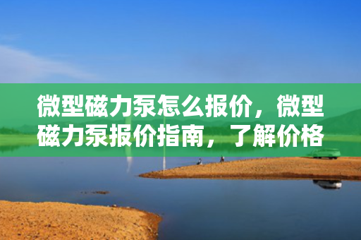 微型磁力泵怎么报价，微型磁力泵报价指南，了解价格因素与报价流程