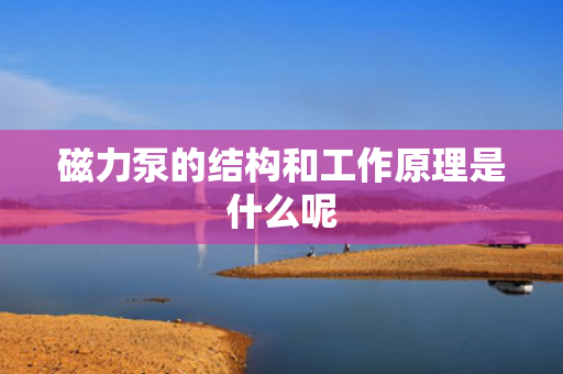 磁力泵的结构和工作原理是什么呢