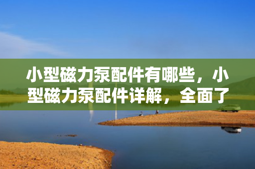 小型磁力泵配件有哪些，小型磁力泵配件详解，全面了解所需部件