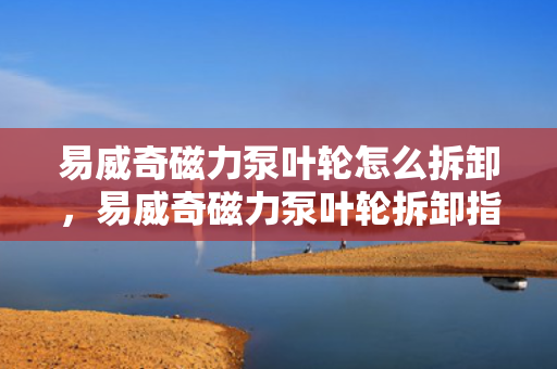 易威奇磁力泵叶轮怎么拆卸，易威奇磁力泵叶轮拆卸指南