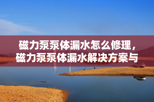 磁力泵泵体漏水怎么修理，磁力泵泵体漏水解决方案与修理技巧