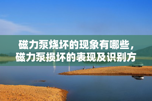 磁力泵烧坏的现象有哪些，磁力泵损坏的表现及识别方法