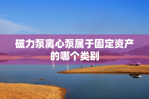 磁力泵离心泵属于固定资产的哪个类别