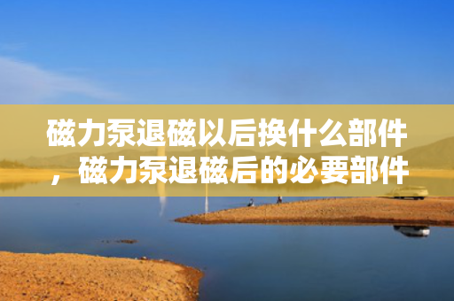 磁力泵退磁以后换什么部件，磁力泵退磁后的必要部件更换指南