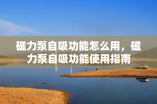 磁力泵自吸功能怎么用，磁力泵自吸功能使用指南
