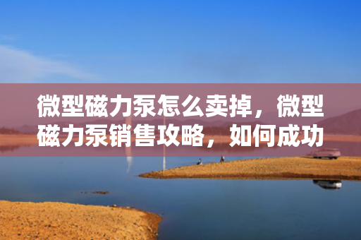微型磁力泵怎么卖掉，微型磁力泵销售攻略，如何成功出售您的设备