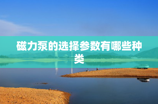 磁力泵的选择参数有哪些种类