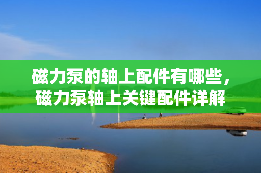 磁力泵的轴上配件有哪些，磁力泵轴上关键配件详解