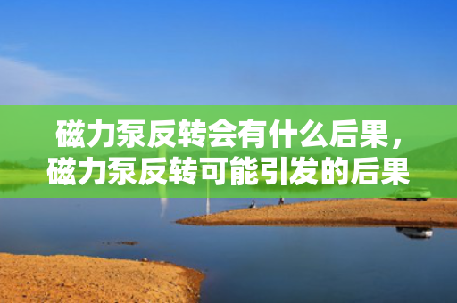 磁力泵反转会有什么后果，磁力泵反转可能引发的后果及风险