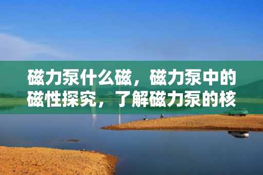 磁力泵什么磁，磁力泵中的磁性探究，了解磁力泵的核心磁性技术