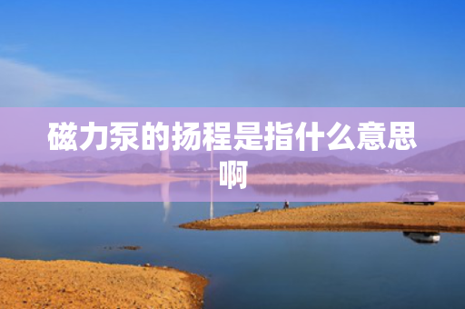 磁力泵的扬程是指什么意思啊