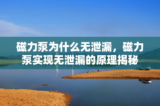 磁力泵为什么***，磁力泵实现***的原理揭秘